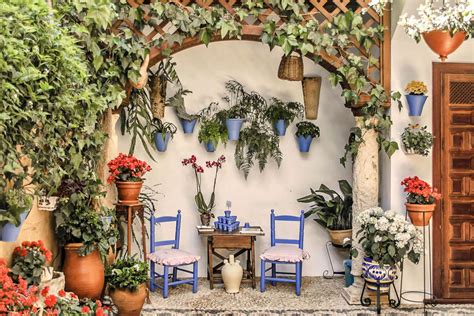 Guided Tour To The Popular Patios Of Cordoba Experitour