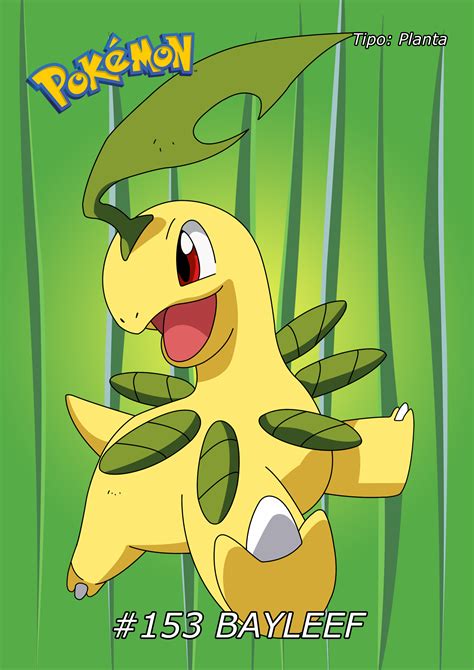 153 Bayleef 01 By Adfpf1 On Deviantart Type Pokemon Pokemon