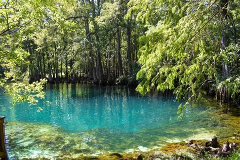 Manatee Springs State Park - Florida Smart