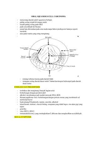 Ilmu Penyakit Mulut I 10 Pigmented Lesions Of The Oral Mucosa