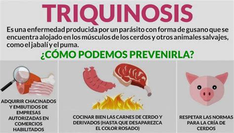 Cuidado Con La Triquinosis Es Seguro El Jam N