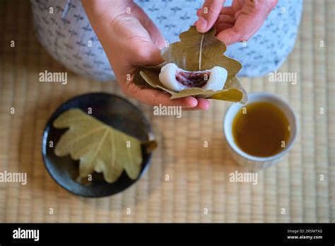 Hands Holding Japanese Kashiwa Mochi Filled With Anko And Green Tea On