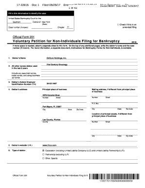 Fillable Online Official Form 201 Voluntary Petition For Non