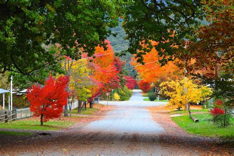 Jamieson I A Town For All Seasons I Victorian High Country