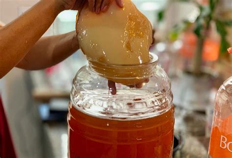 Conoce Qu Es La Kombucha Y Sus Beneficios Para Tu Salud