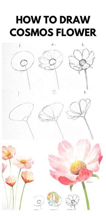 How To Draw Flowers Easy To Draw Flowers Sketches