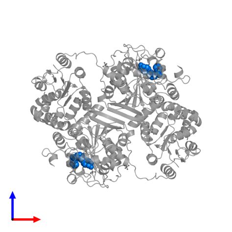 Pdb Als Gallery Protein Data Bank In Europe Pdbe Embl Ebi