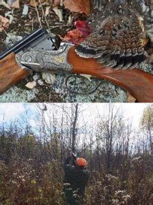 Grouse And Woodcock Hunts Outdoors Unlimited Media And Magazine