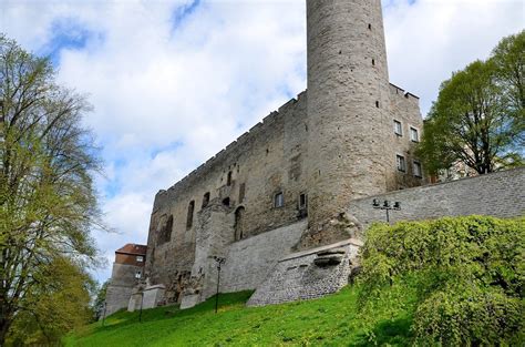 Фото замка Тоомпеа (95 фото)