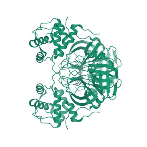 RCSB PDB 7RMT Room Temperature X Ray Structure Of SARS CoV 2 Main