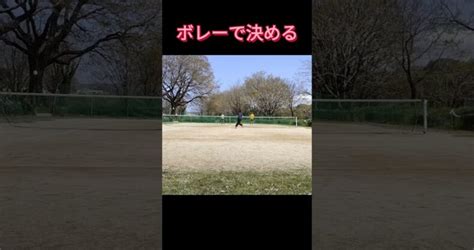 硬式流ローボレーテニス テニス上達 ソフトテニス ボレー テニスレッスン動画 最新youtube人気まとめサイト