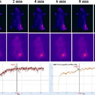 A Thermal Images Of Mice After Exposure To Nir Irradiation For Min