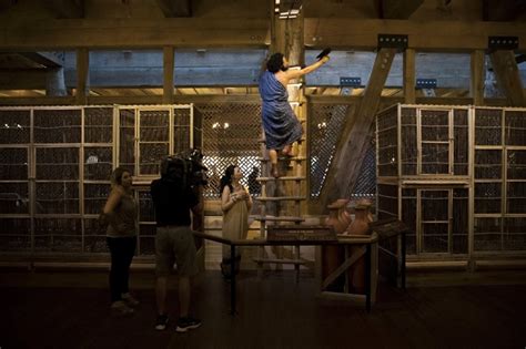 Life-Sized Noah's Ark Revealed to Public in Kentucky