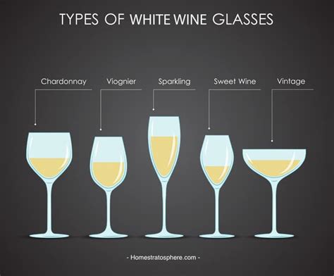 18 Different Types of Wine Glasses (Red, Wine and Dessert Illustrated ...