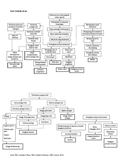 Woc Tumor Otak Pdf