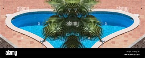 swimming pool with blue tiles Stock Photo - Alamy