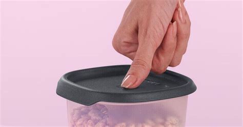 Tupperware One Touch Fresh Oval L