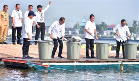 Presiden Jokowi Resmikan Model Kawasan Tambak Budidaya Ikan Nila Salin