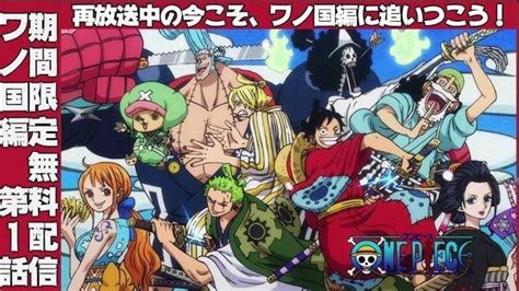 Top 21 Spoiler One Piece Mới Nhất Nông Trại Vui Vẻ Shop