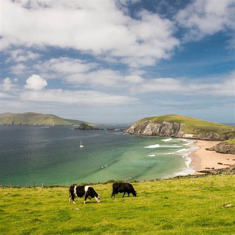 Ireland Eurail Pass: Exploring Ireland’s magic by train | Trainline