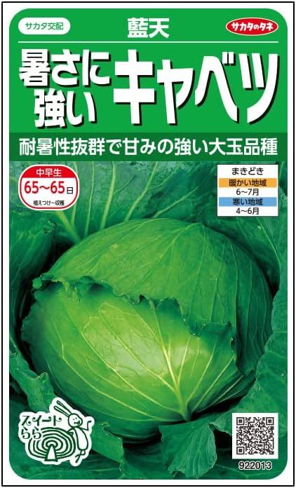 Amazon サカタのタネ 実咲野菜2013 キャベツ 暑さに強いキャベツ 藍天 野菜