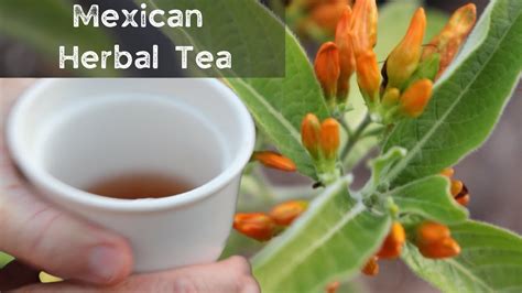 Try This Mexican Herbal Tea Youtube