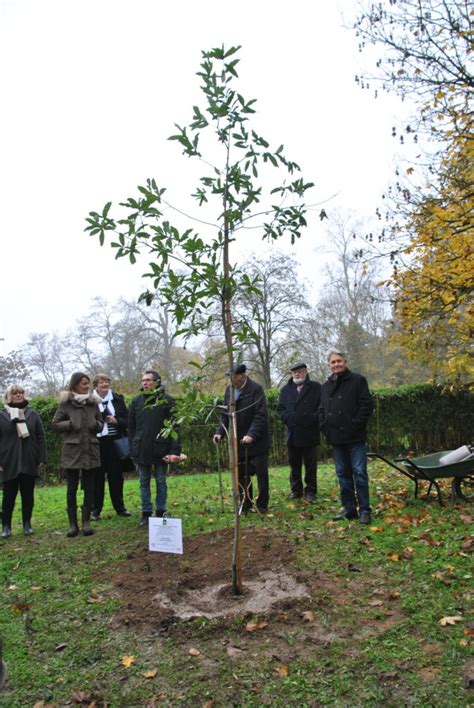 Les Amis Des Parcs Et Jardins Apj Shol