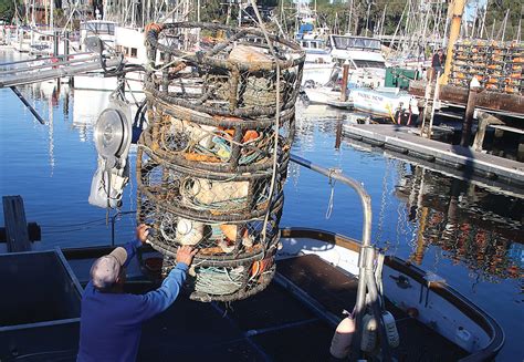 Commercial crab season pushed back - The Pajaronian | Watsonville, CA