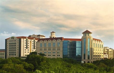 Memorial Hermann Tmc Achieves ‘gold Medal Of Nursing Tmc News