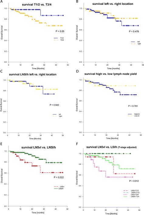 Kaplan Meier Curves Analyzing Overall Survival Depending On The T Stage