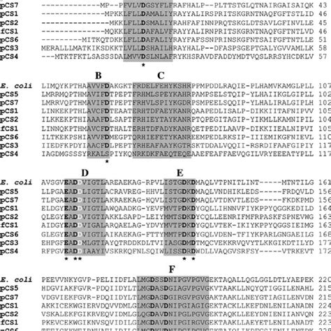 Alignment Of The Deduced Amino Acid Sequences Of Putative 5 Ј 3 Ј