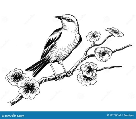 Bird on a tree stock illustration. Illustration of sitting - 111754163