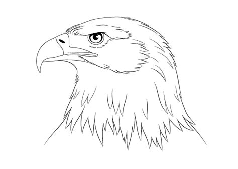 how to draw an eagle easy Draw harunmudak - Step by Step Drawing