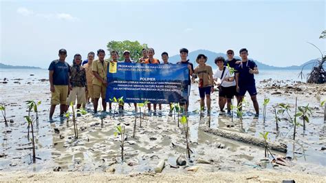 Peringati Hari Mangrove Sedunia Tim Pengmas Fmipa Ui Gelar Program