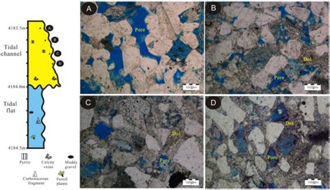 Minerals Free Full Text Microscopic Characteristics And Formation