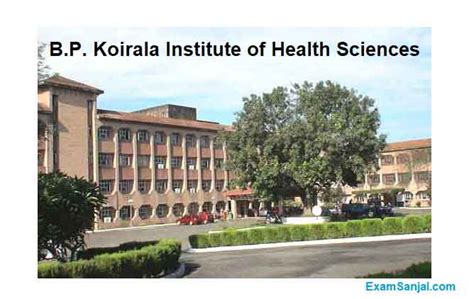 BPKIHS BP Koirala Institute of Health Science Job Vacancy Apply Health ...