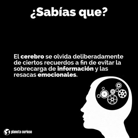 Galer A Datos Curiosos Que Tienes Que Saber Sin Motivo Alguno