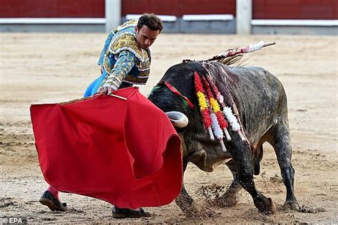 Bullfighting could be BANNED for under 16s, paving the way for the ...