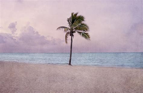 Higgs Beach - Key West Photograph by Kim Hojnacki - Pixels