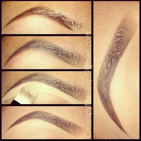 16 Eyebrow Diagrams That Will Explain Everything To You Makeup Best