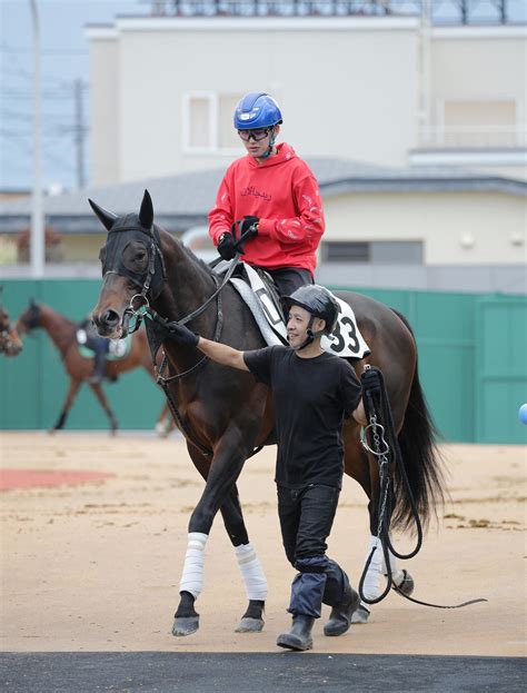 昨年2着ジュビリーヘッド、北海道得意 安田隆厩舎も好相性のレース／函館スプリントs 競馬写真ニュース 日刊スポーツ