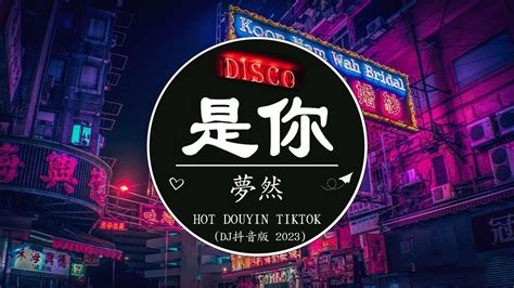 Shi Ni 是你 It s you 梦然 MIYA 动态歌词 Lyrics DJ抖音版 2024 中文DJ版劲爆舞曲串烧