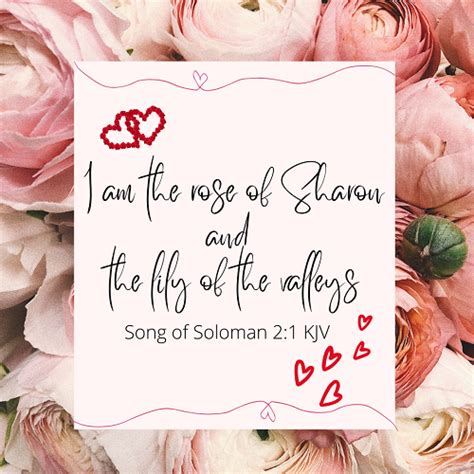 Song of Solomon: Songs of Love, Marriage, and Sex - The Kingdom First