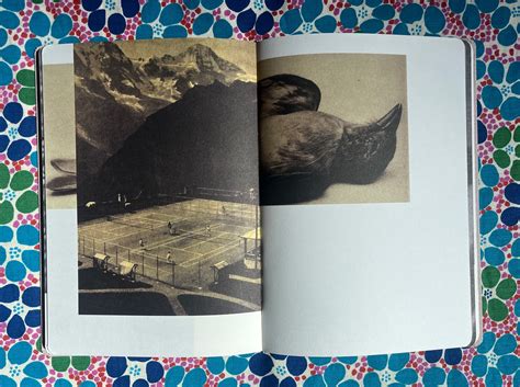 Hunting In Time Ronit Porat First Edition