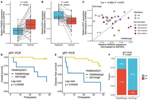 Frontiers Genomic Alteration Characterization In Colorectal Cancer