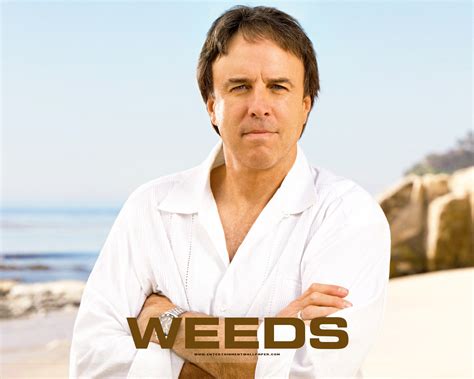 Weeds - Weeds Wallpaper (34569008) - Fanpop