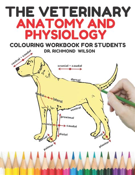 Buy The Veterinary Anatomy And Physiology Colouring Workbook For