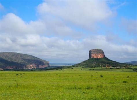 R Cit Un Safari Au Entabeni Safari Conservancy Dans Le Waterberg