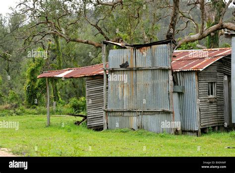 Corrugated Iron Bush Hut In Australia Stock Photo Royalty Free Image