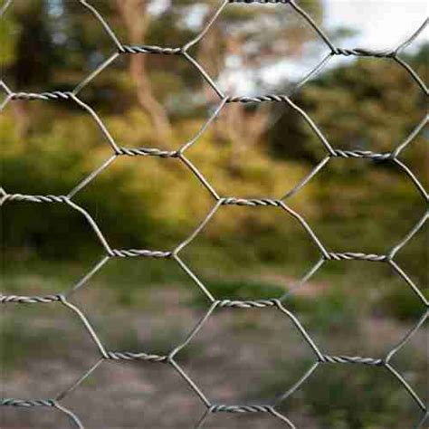 Stainless Steel Chicken Wire Manufacturer And Supplier DEZE FENCE